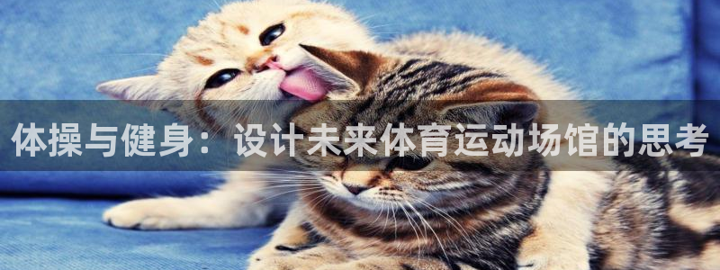 体操与健身：设计未来体育运动场馆的思考