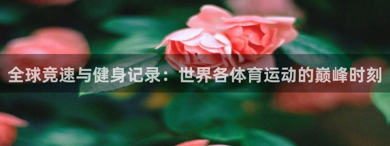 全球竞速与健身记录：世界各体育运动的巅峰时刻