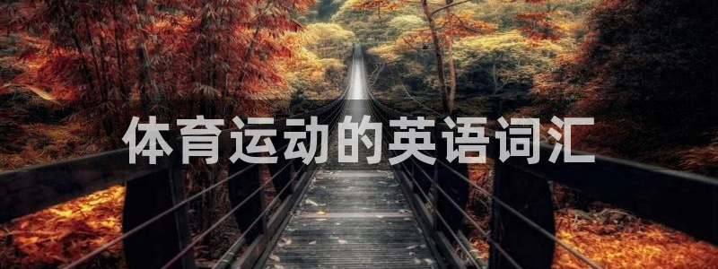 体育运动的英语词汇