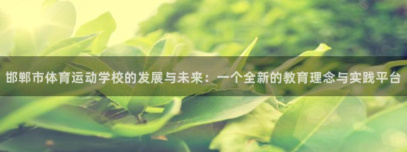邯郸市体育运动学校的发展与未来：一个全新的教育理念与实践平台