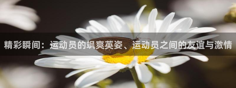精彩瞬间：运动员的飒爽英姿、运动员之间的友谊与激情