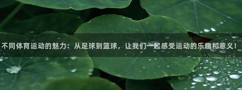 不同体育运动的魅力：从足球到篮球，让我们一起感受运动的乐趣和意义！