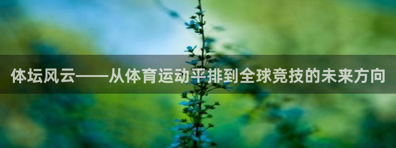 体坛风云——从体育运动平排到全球竞技的未来方向