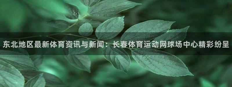 东北地区最新体育资讯与新闻：长春体育运动网球场中心精彩纷呈
