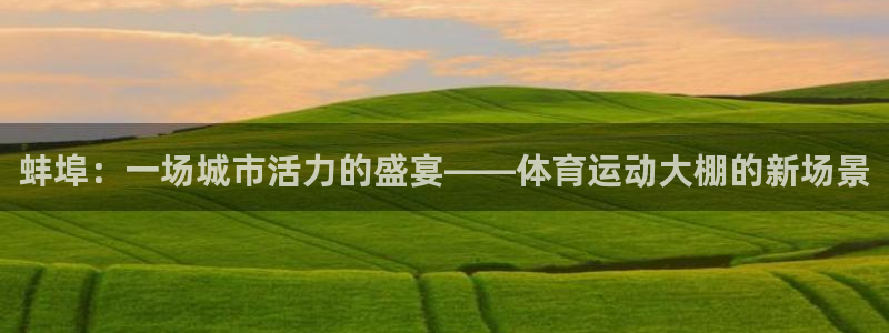 蚌埠：一场城市活力的盛宴——体育运动大棚的新场景