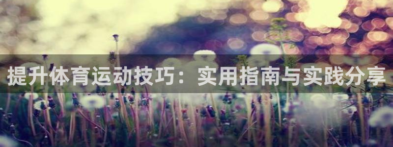 提升体育运动技巧：实用指南与实践分享