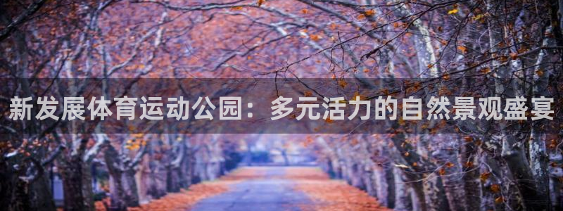 新发展体育运动公园：多元活力的自然景观盛宴